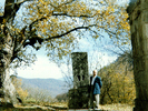 , 1996  